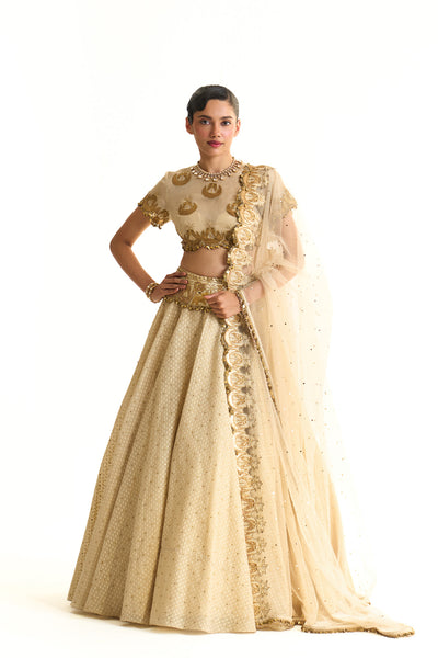 Chaand baag Lehenga set