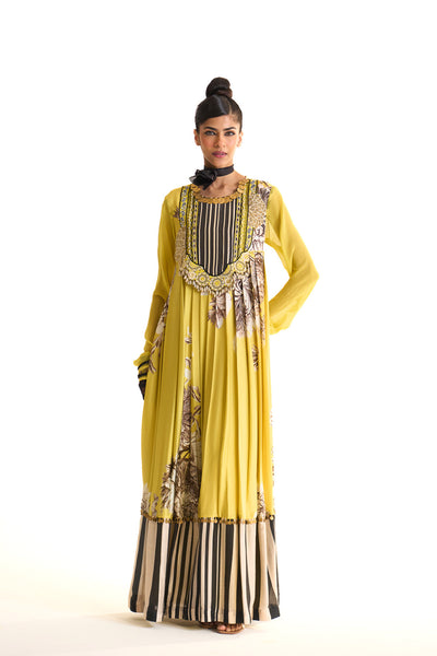 Black iris anarkali