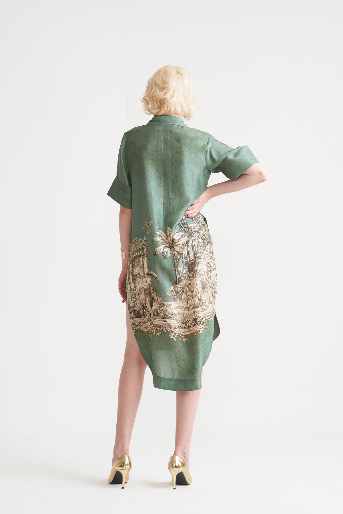 Front button detail dress